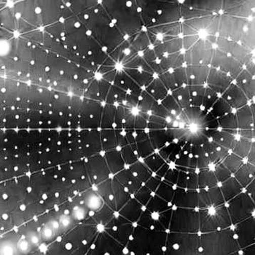 The Empty Report: Why Crypto’s Template-Driven Research Is Collapsing Under Its Own Weight The Empty Report: Why Crypto’s Template-Driven Research Is Collapsing Under Its Own Weight
