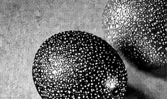 Oil at $100 and the Liquidity Trap: Why Crypto's Decoupling Narrative Fails the Macro Test
