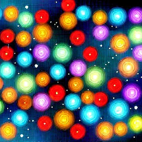 Data Missing, Conclusions Certain: The Empty-Template Economics of Crypto Research